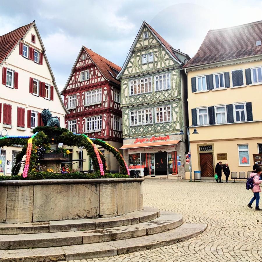 Im Herzen Der Altstadt Vaihingen an der Enz Buitenkant foto